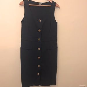 Ann Taylor Dress